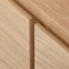 232 Antasena Bookshelf